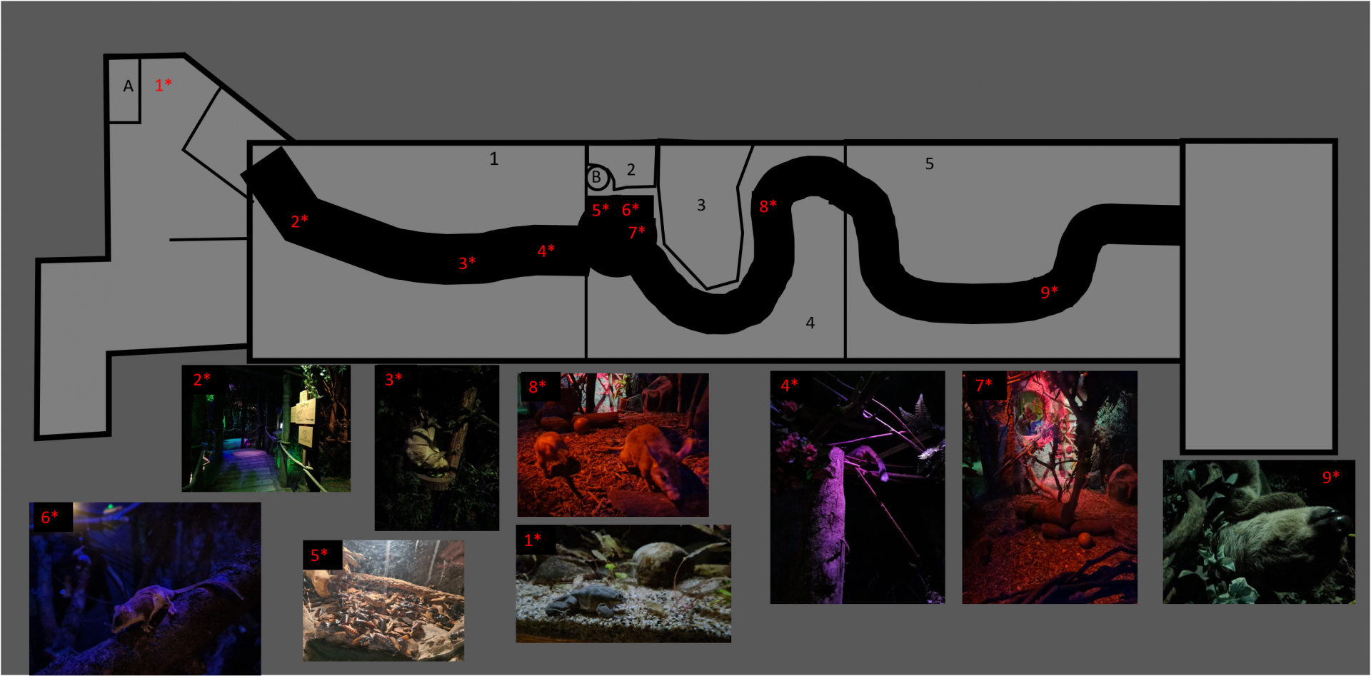 Map of "De Nacht" Nocturnal house