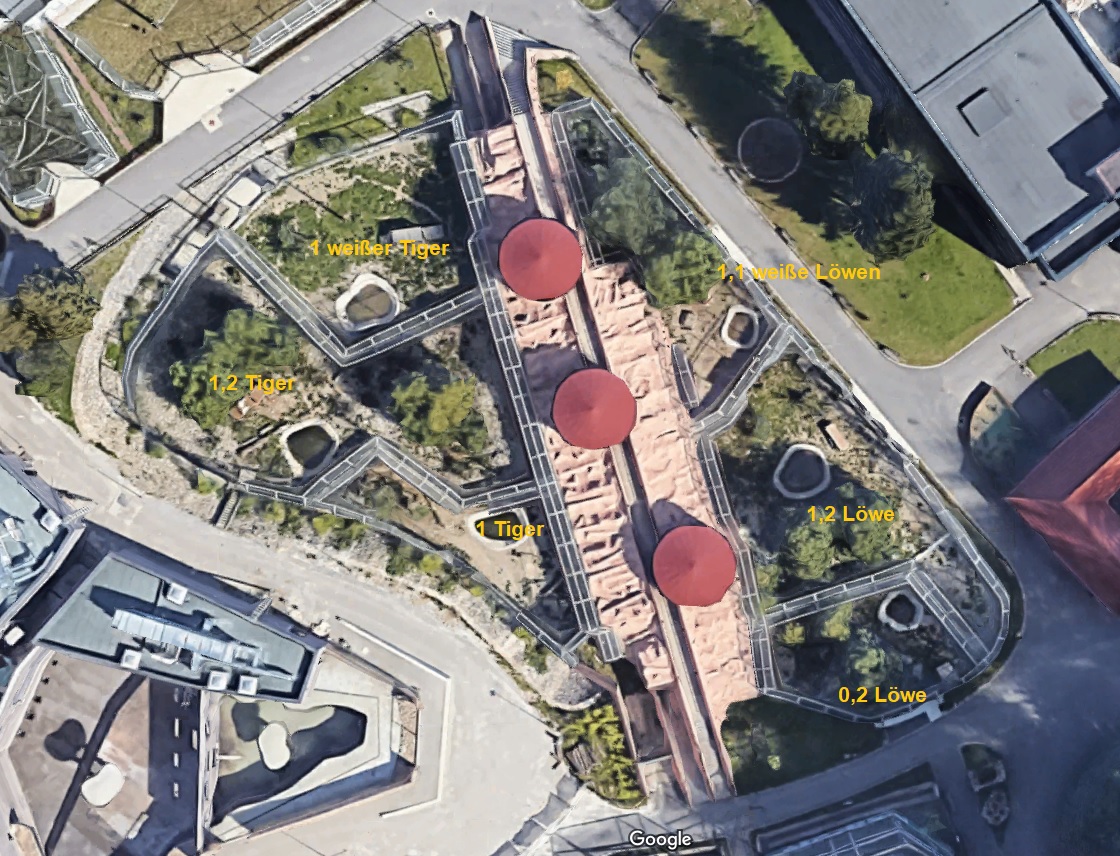 map of enclosure of big cats