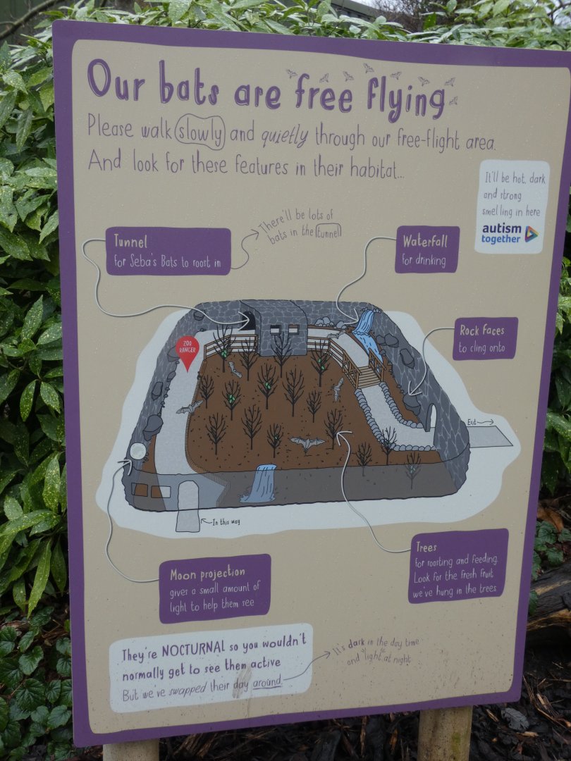 Map of Fruit Bat Forest
