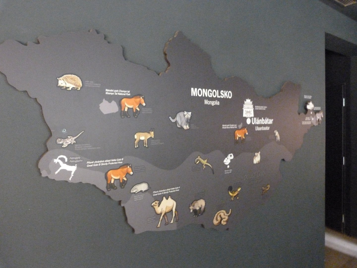 Map of Mongolia -Zoo Praha (2025)