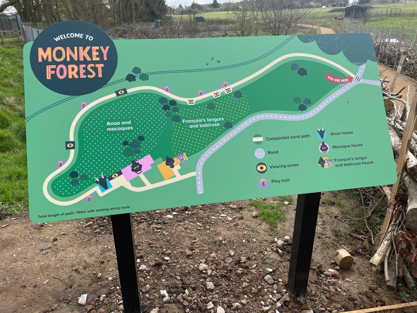 Map of Monkey Forest