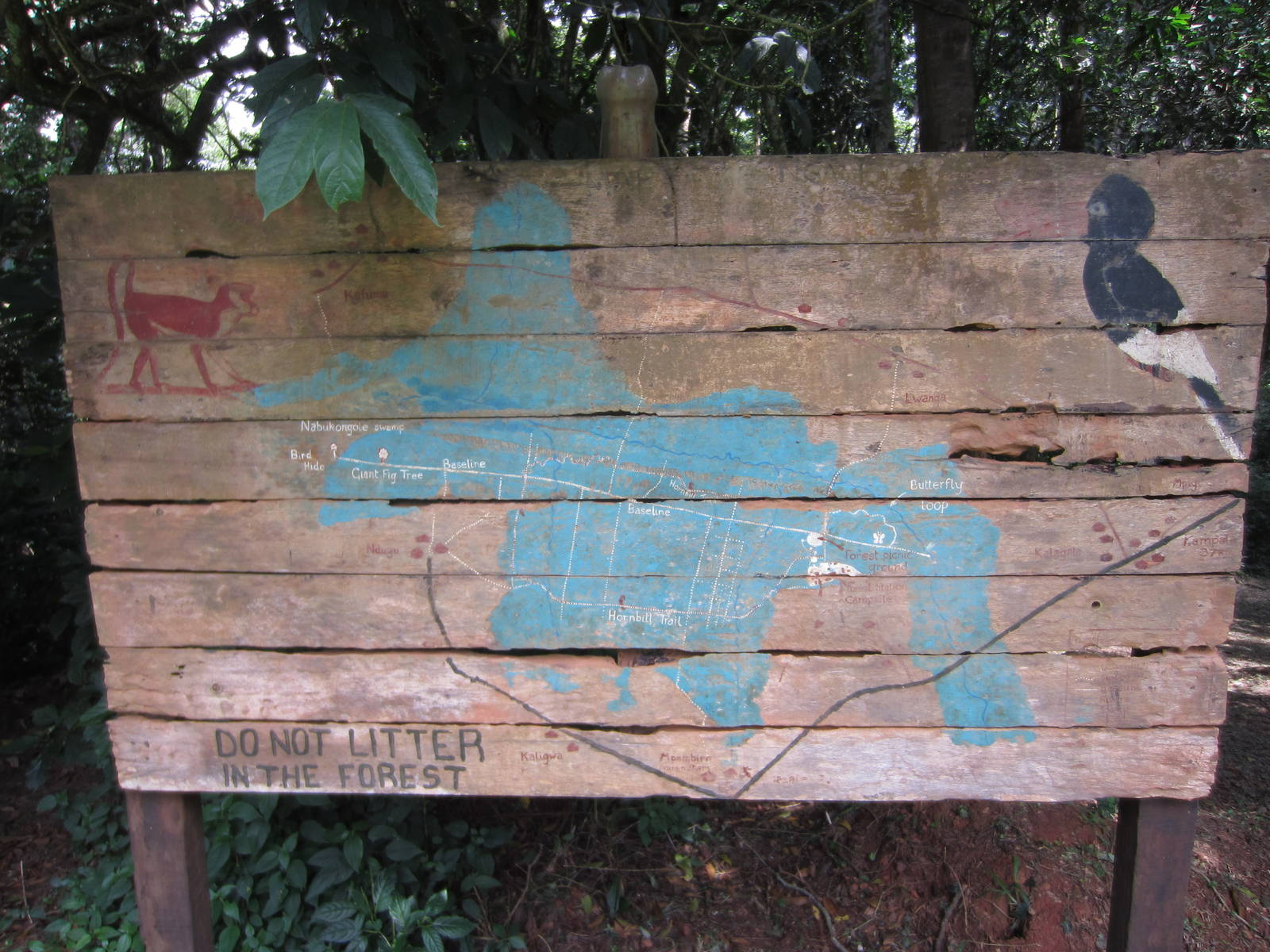 Map of Mpanga Forest