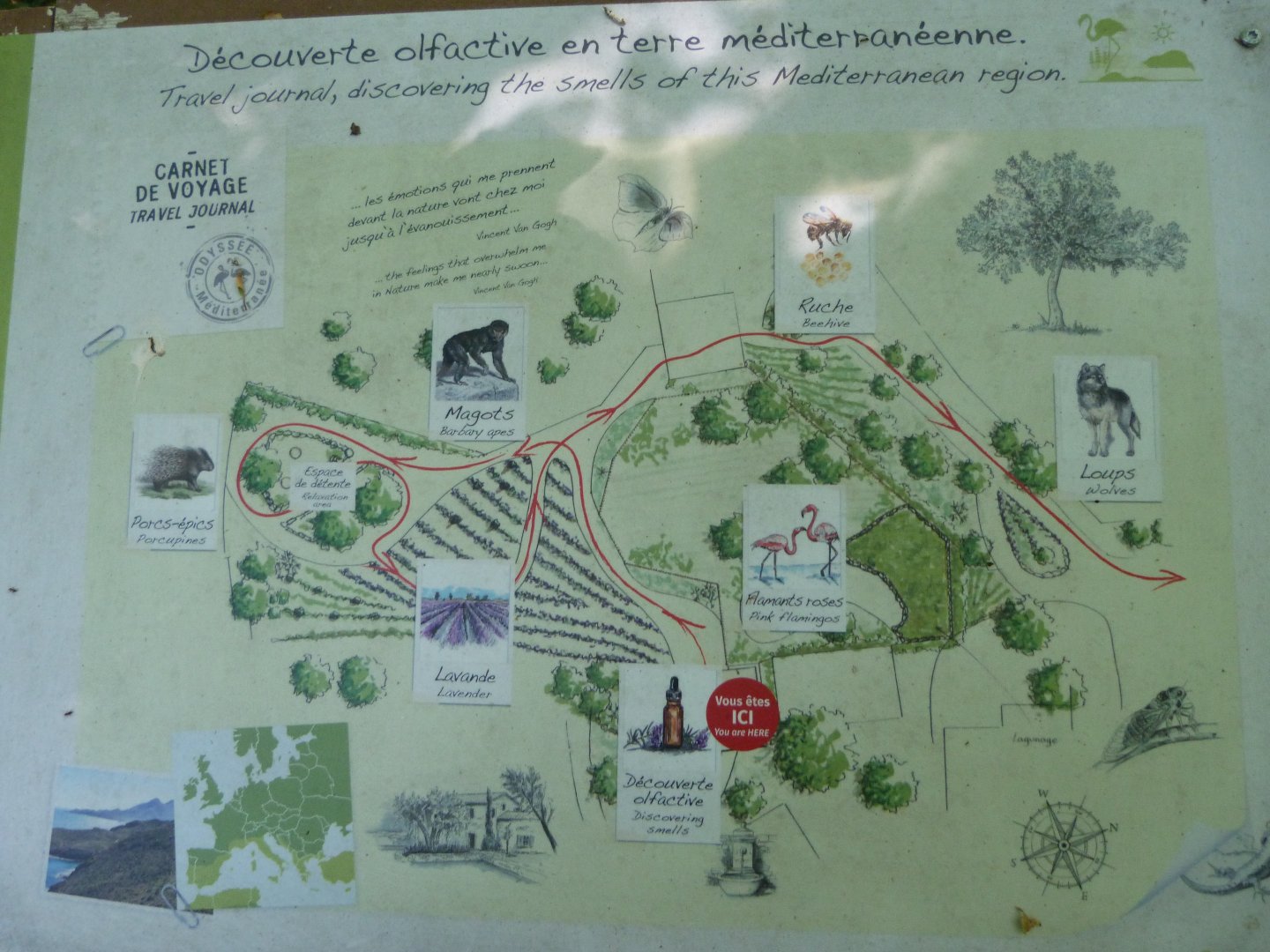 Map of "Odyssée Méditerranée" -Zoodyssée (2025)