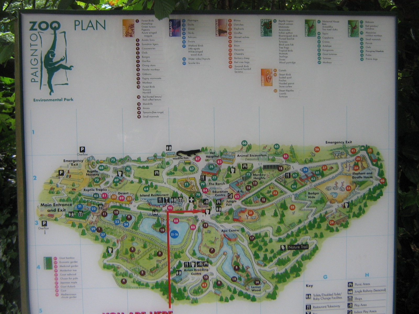Map of Paignton Zoo