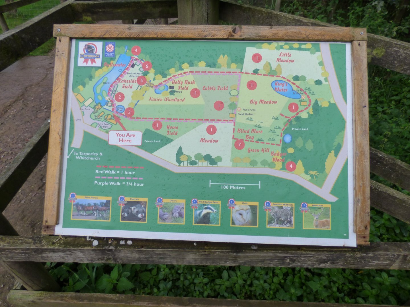 Map of Shire Horse Centre