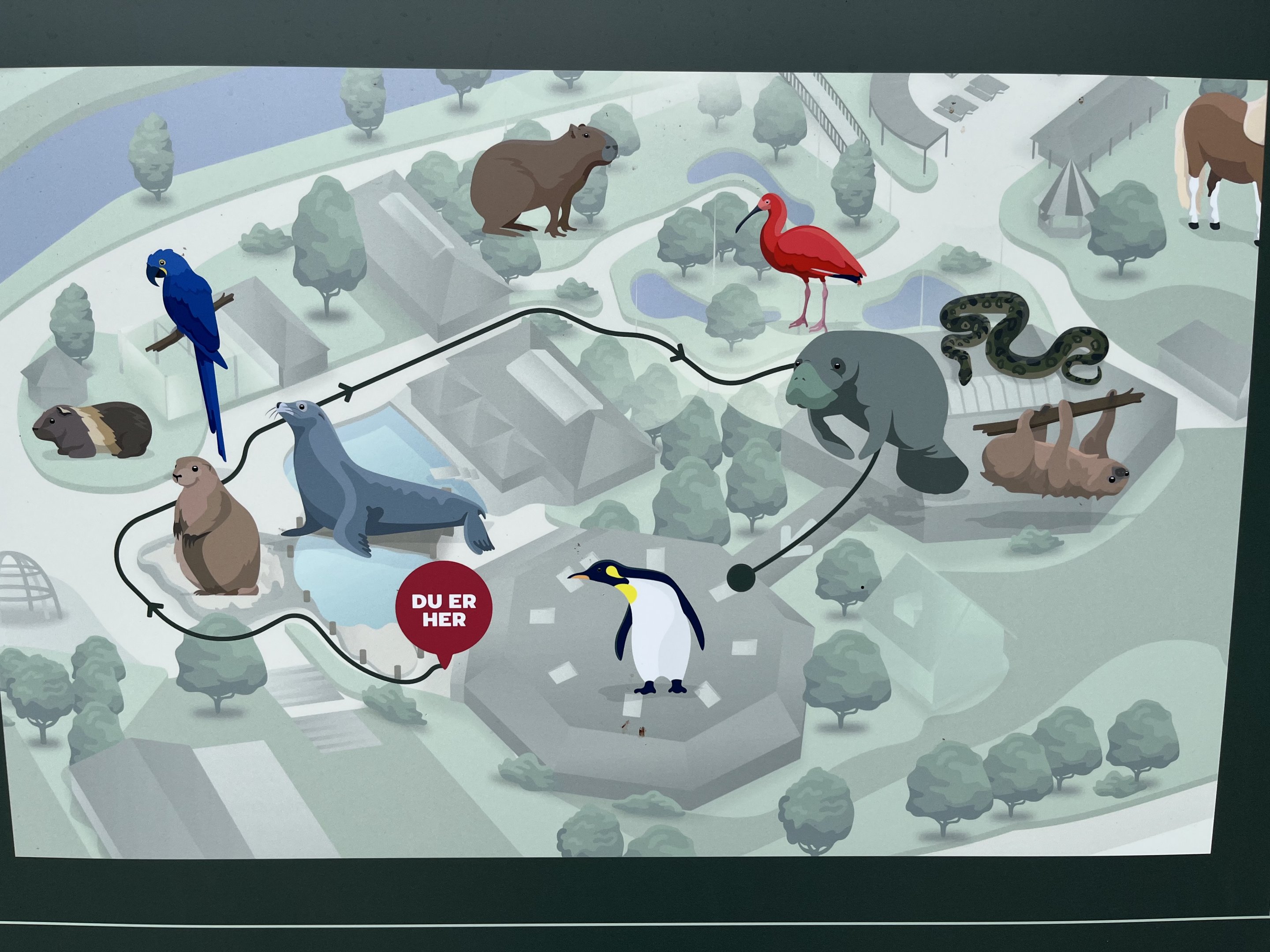 Map of South American Area