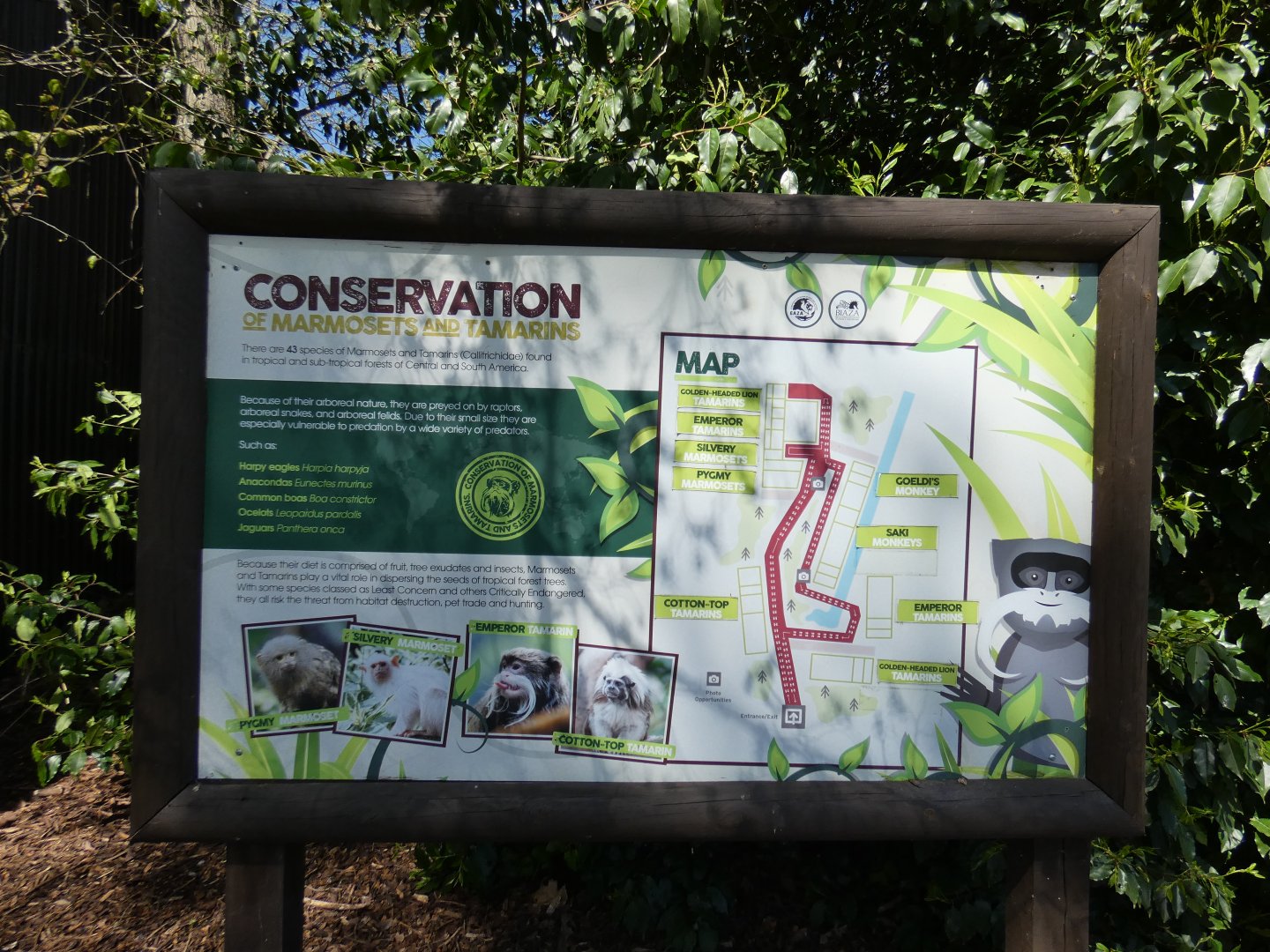 Map of Tamarin Trail