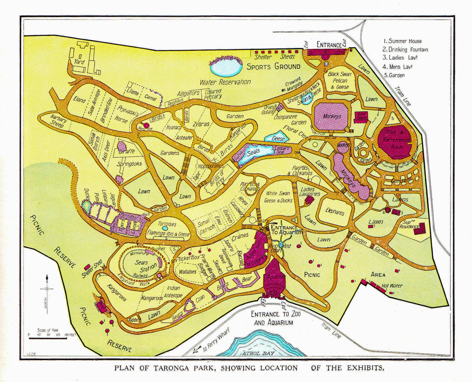 Map of Taronga, 1930