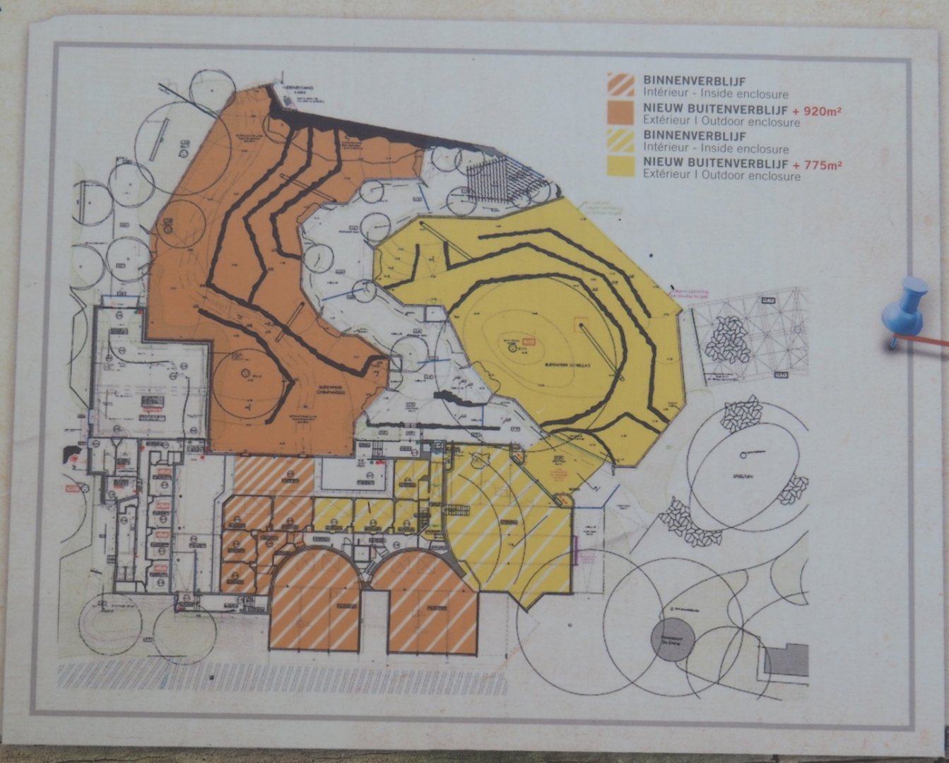 Map of the ape exhibits, 2021-07-17