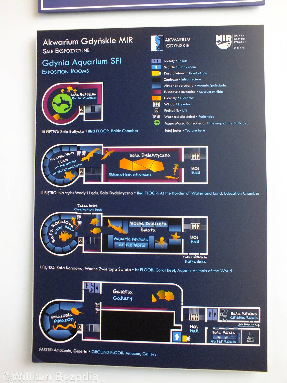 Map of the Aquarium - Gdynia Aquarium