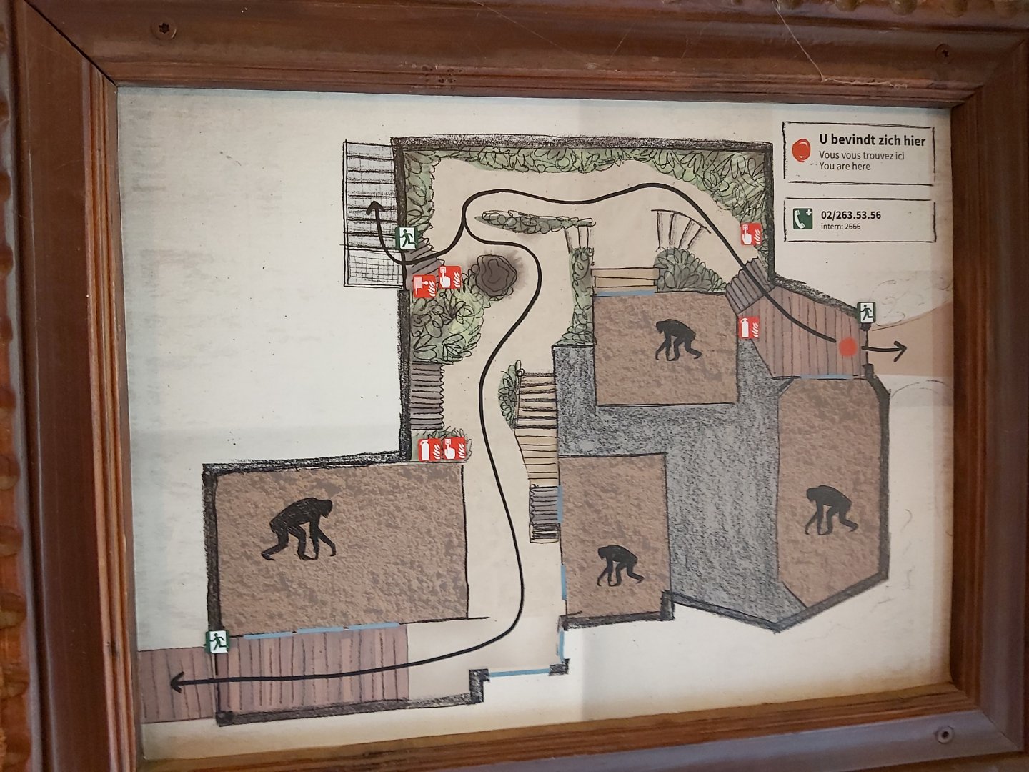 Map of the indoor bonobo enclosure