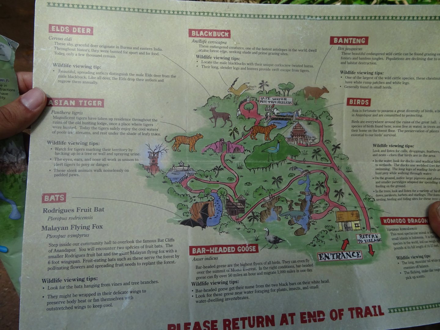 Map of the Maharajah Jungle Trek at Disney's Animal Kingdom (2014)