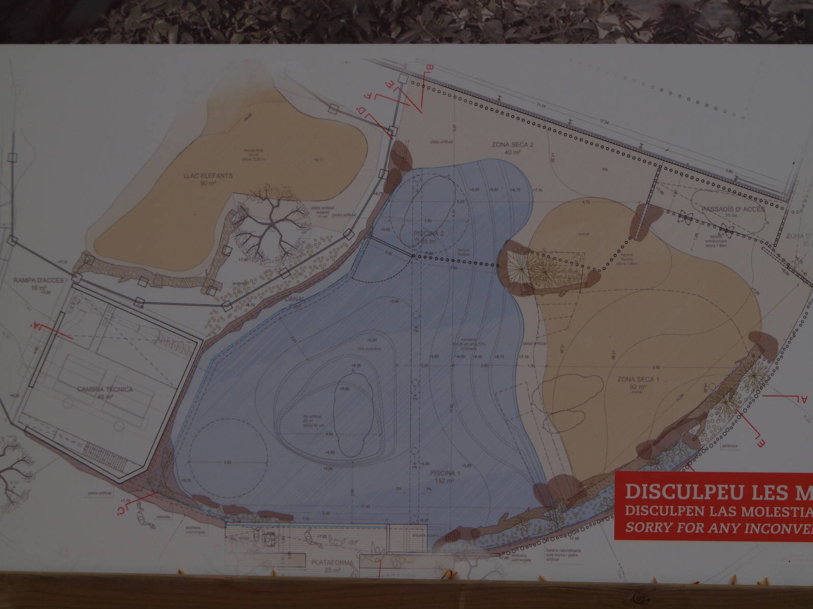 Map of the new hippo exhibit