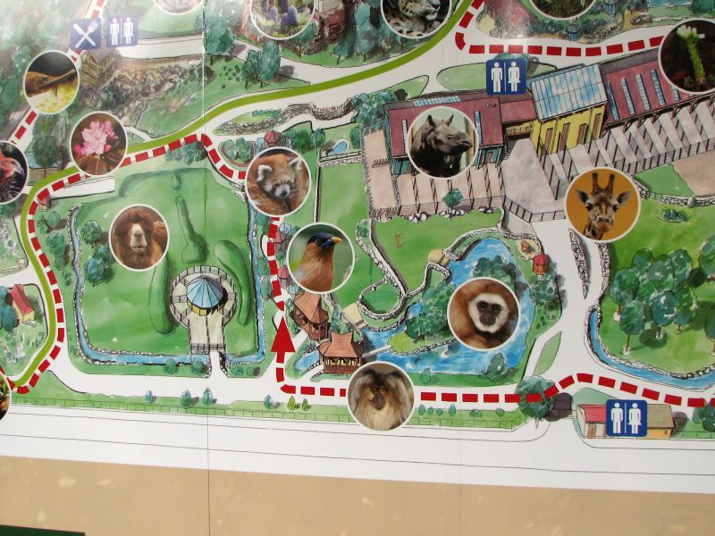 Map of the rebuilt Asian area