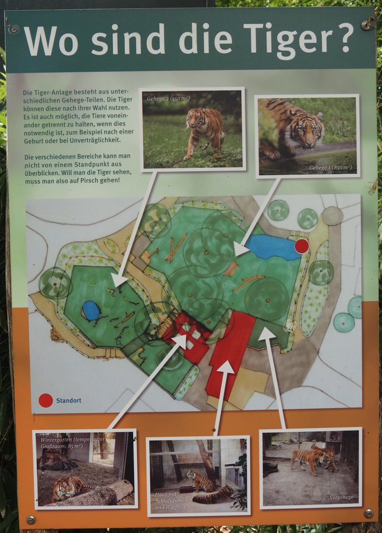 Map of the tiger exhibits, 2025-05-22