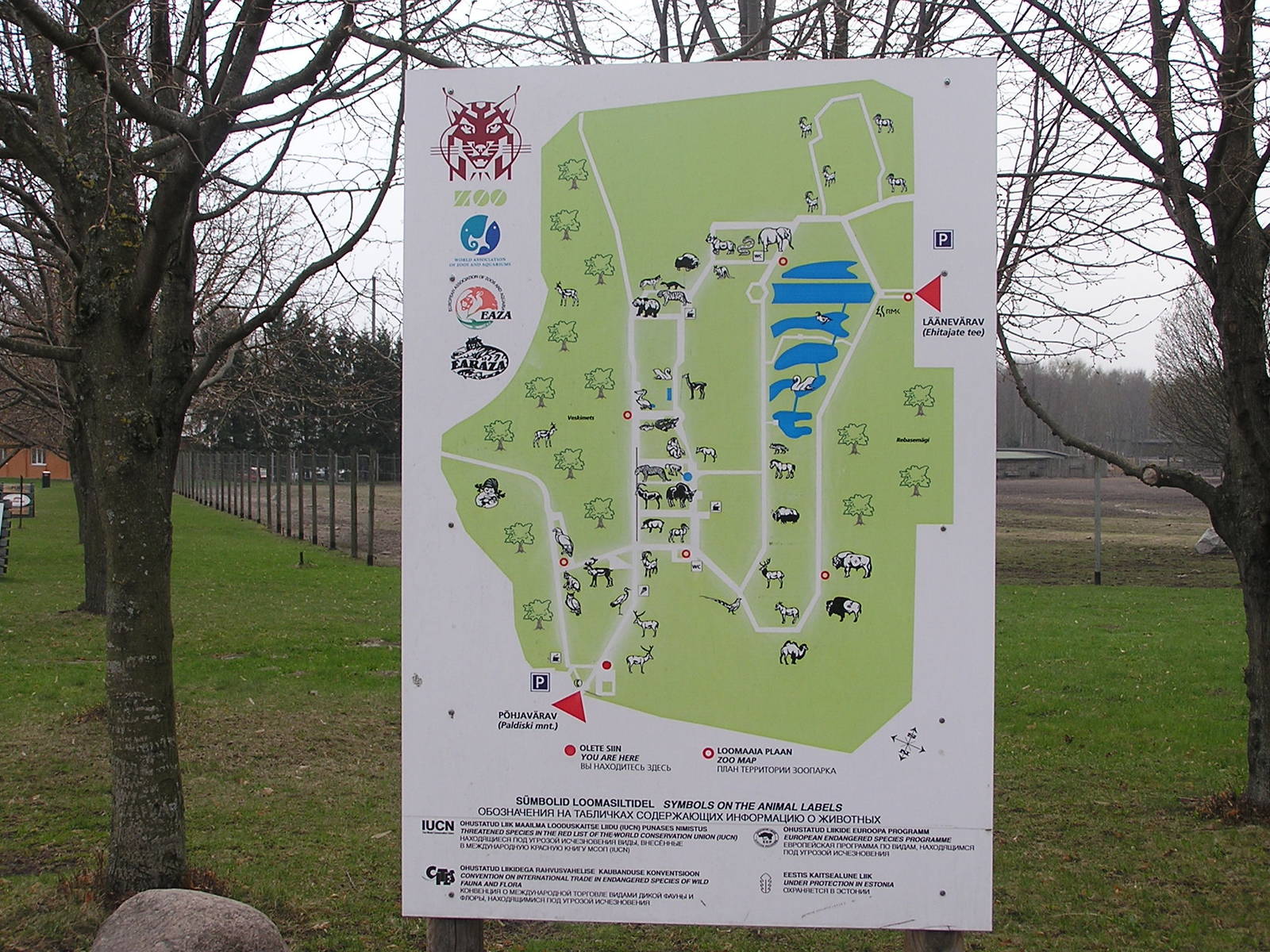 Map of the Zoo