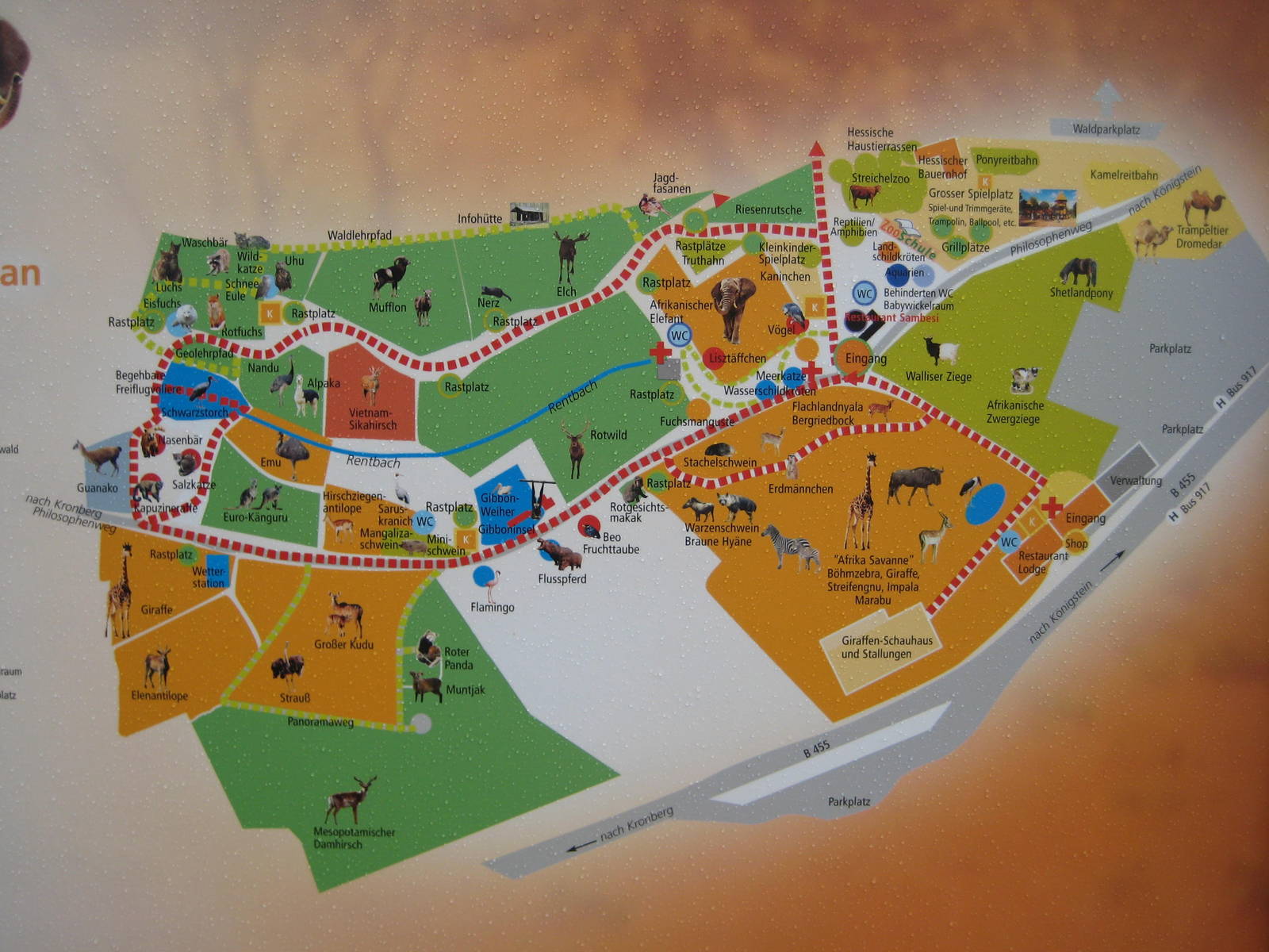 Map of the zoo