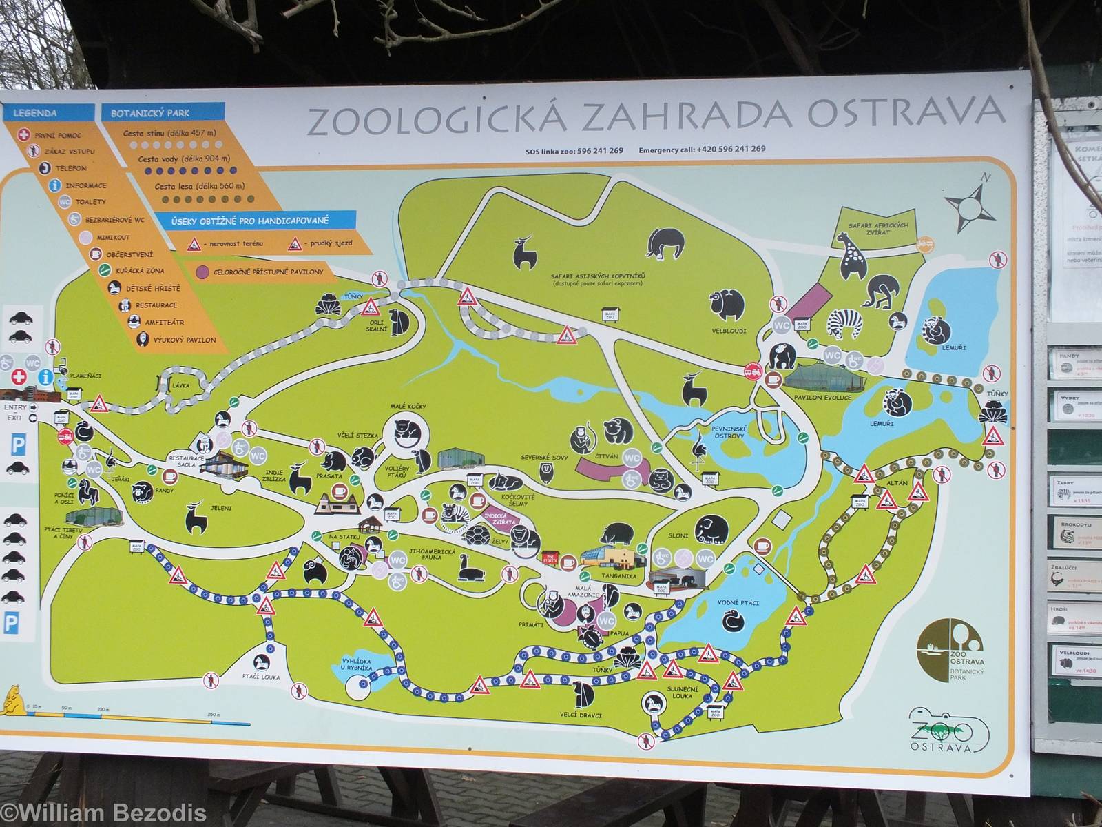 Map of the Zoo