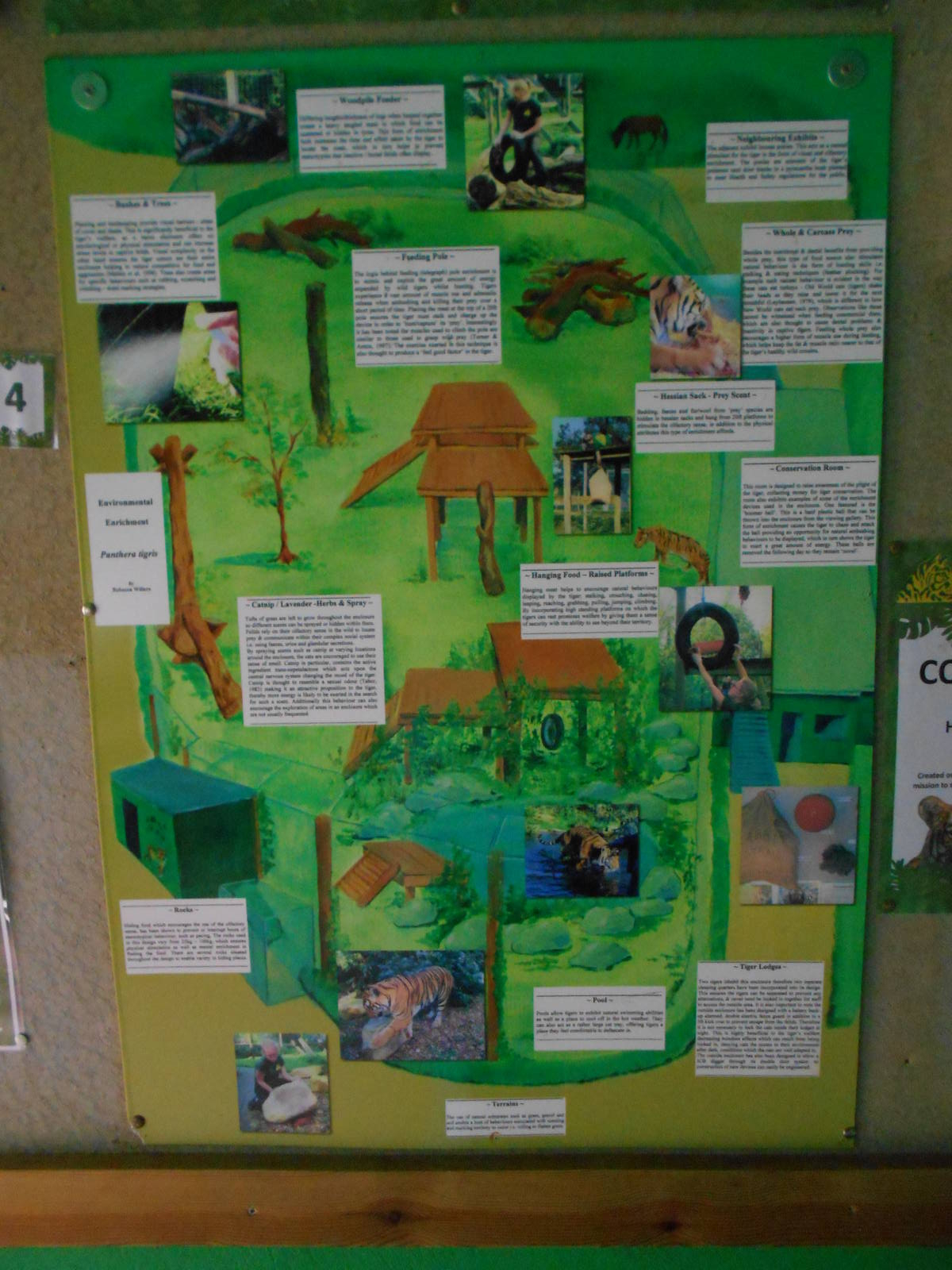 Map of tiger enclosure - March 15th 2016