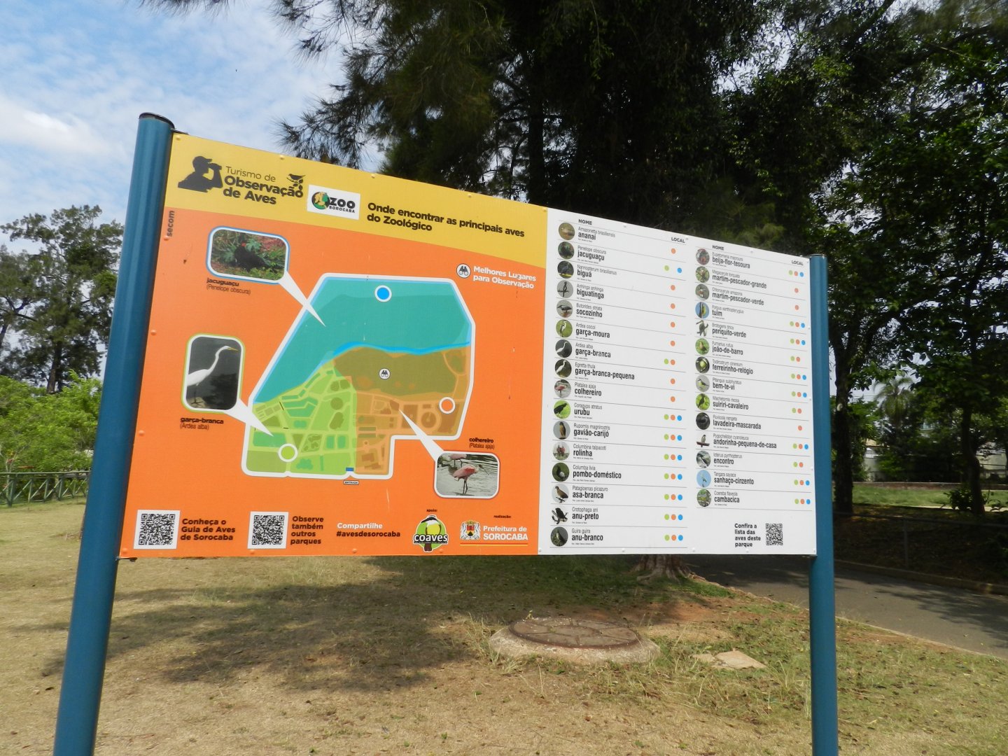 Map of wild birds found at the zoo - Sorocaba zoo (PZMQB)