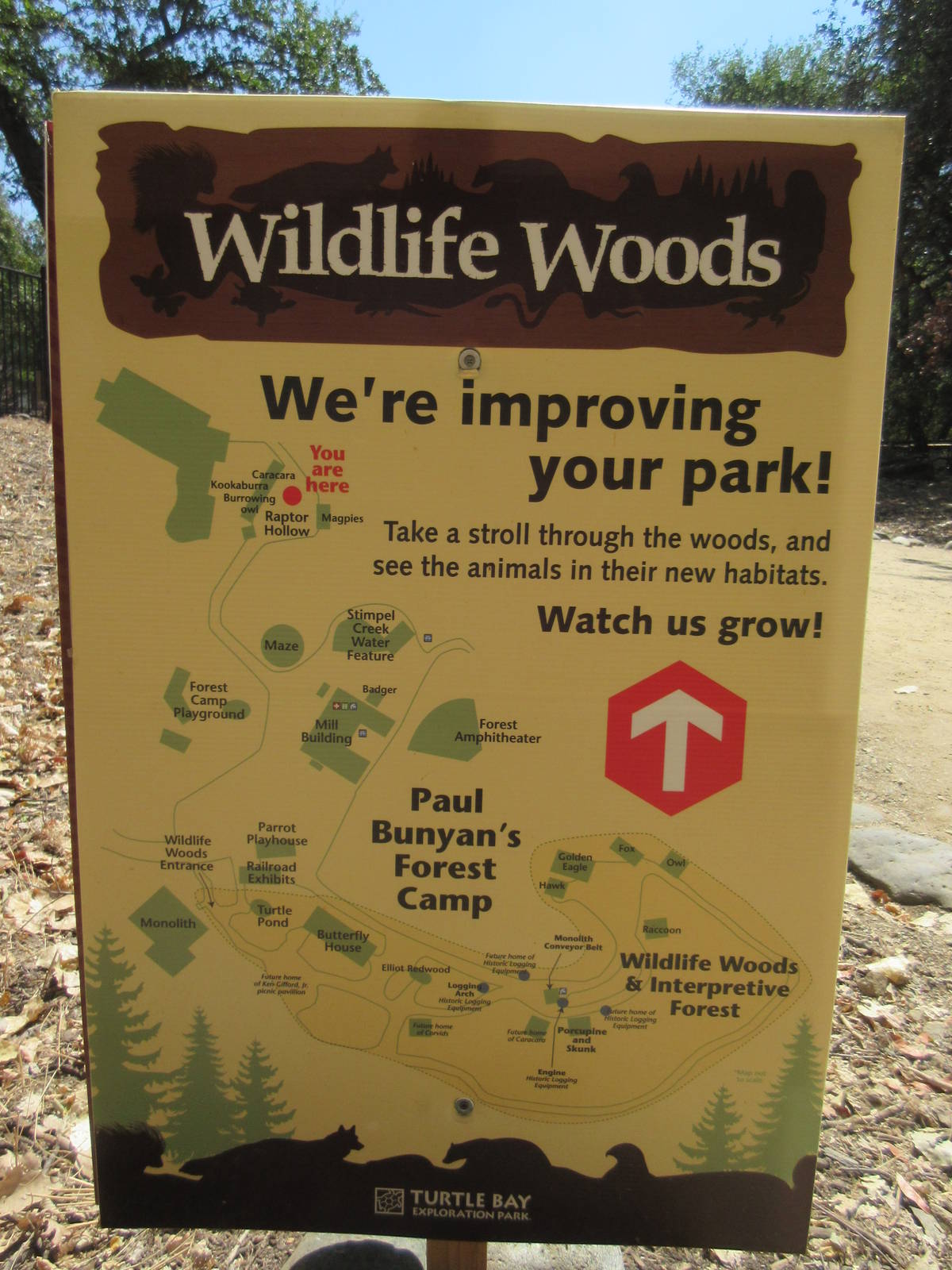 Map of Wildlife Woods (Paul Bunyon's Forest Camp)