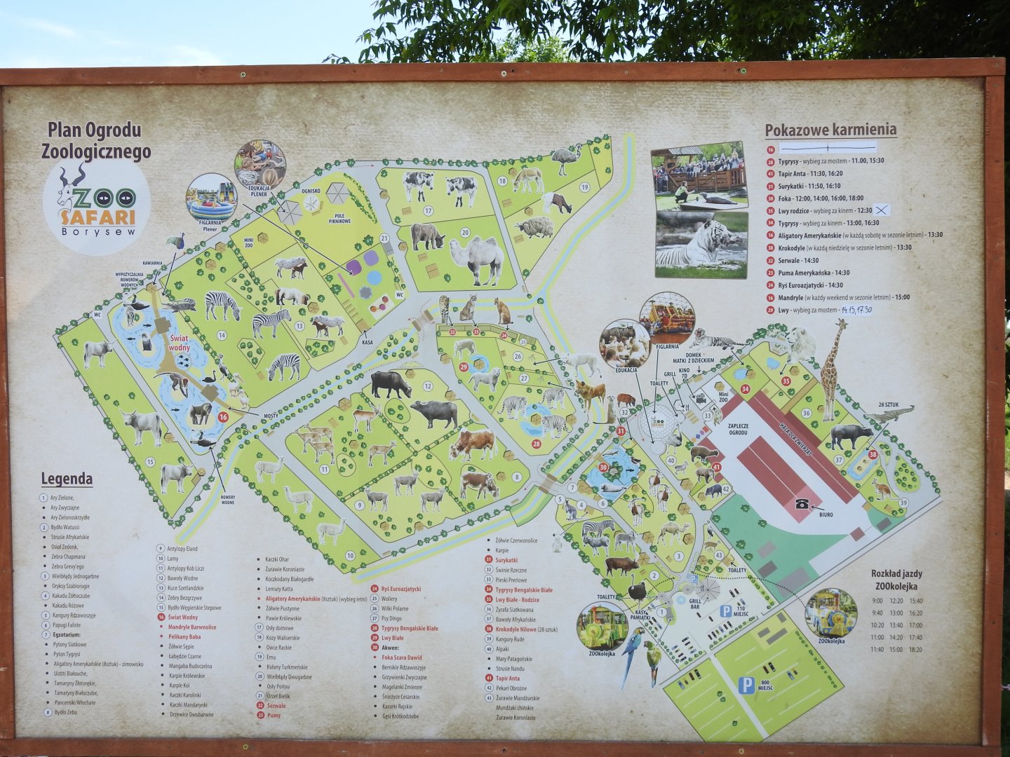 Map of zoo