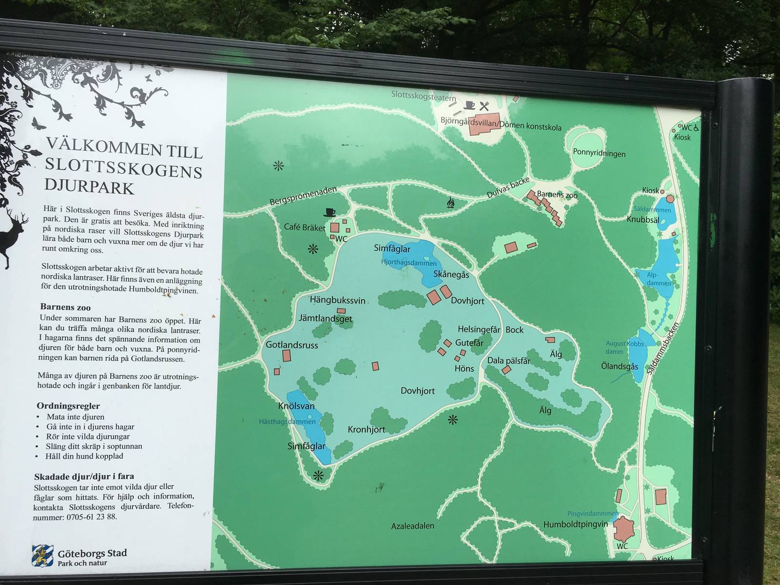 Map over the zoo