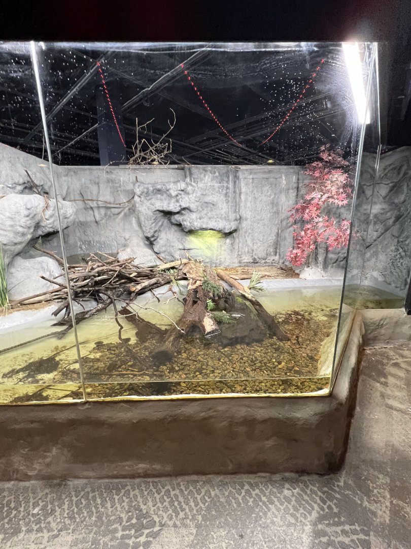 Map/Painted Turtle Exhibit