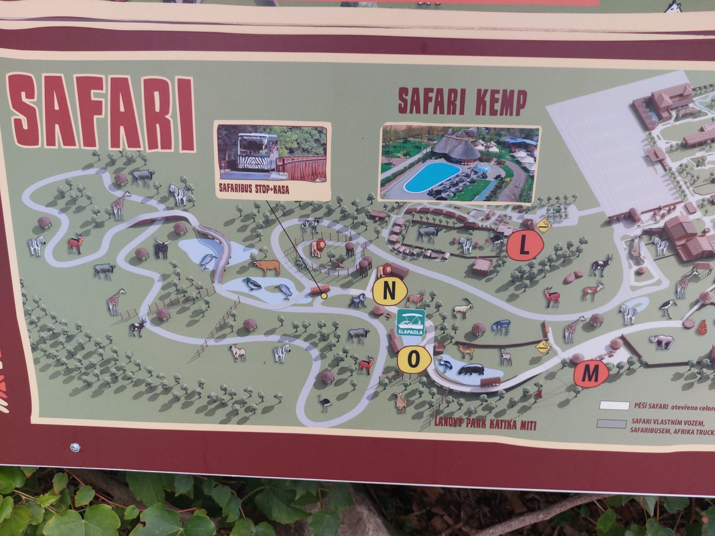 Map - safari part