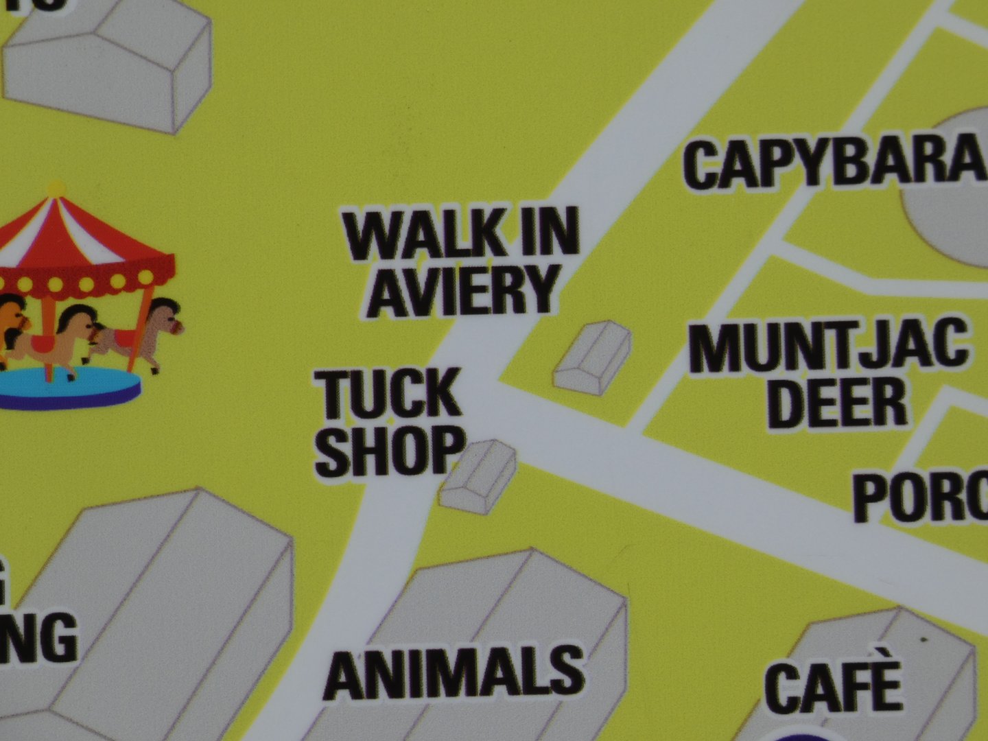 Map spelling error (Greenacres Animal Park)