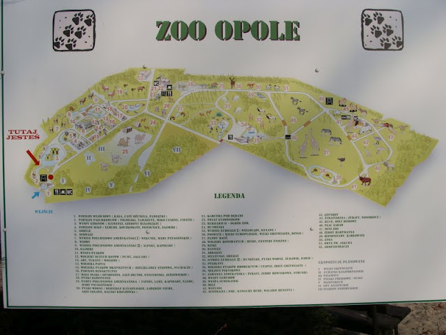 Map zoo