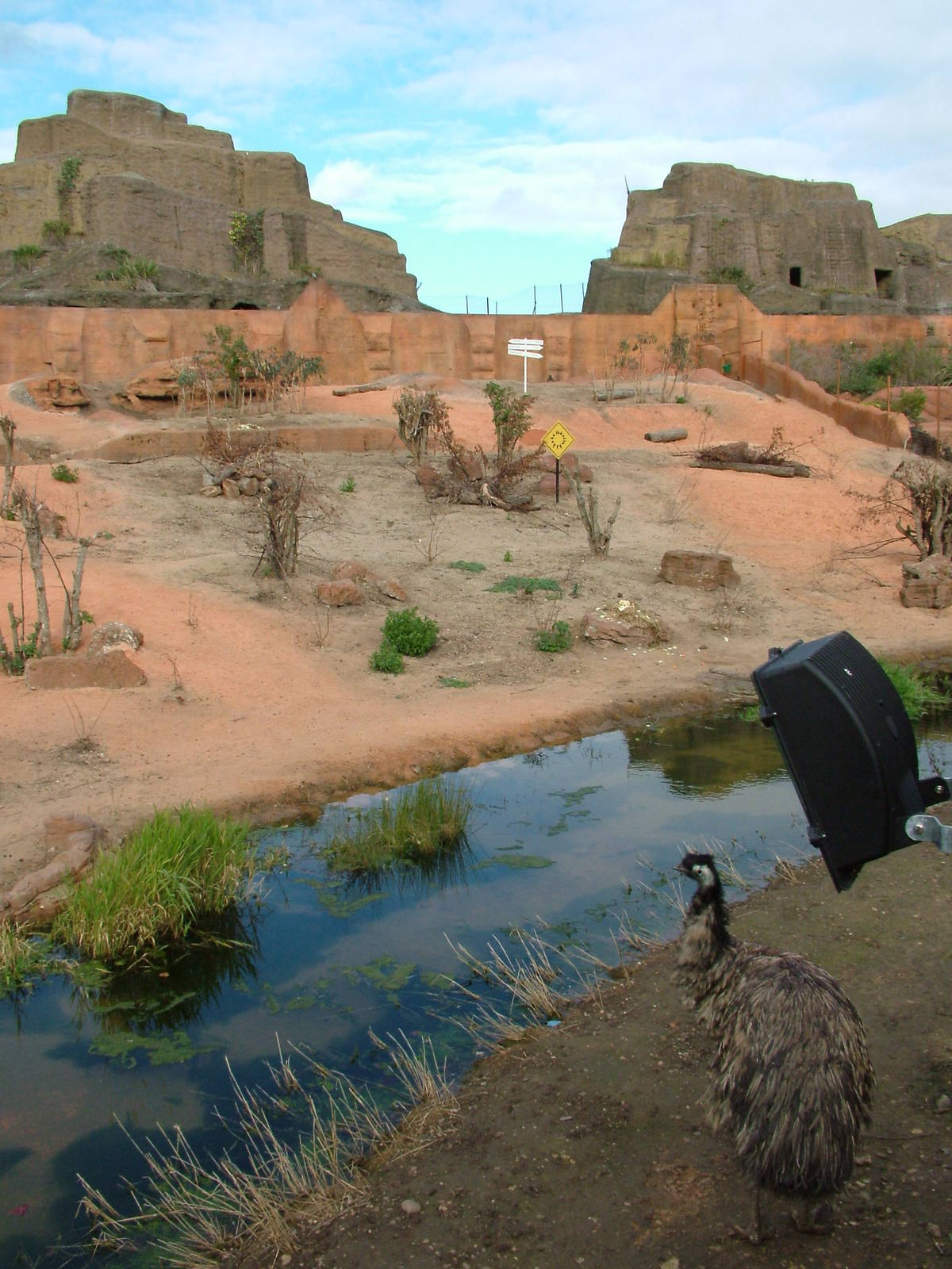 Mappin Terraces Outback at London Zoo Oct 08