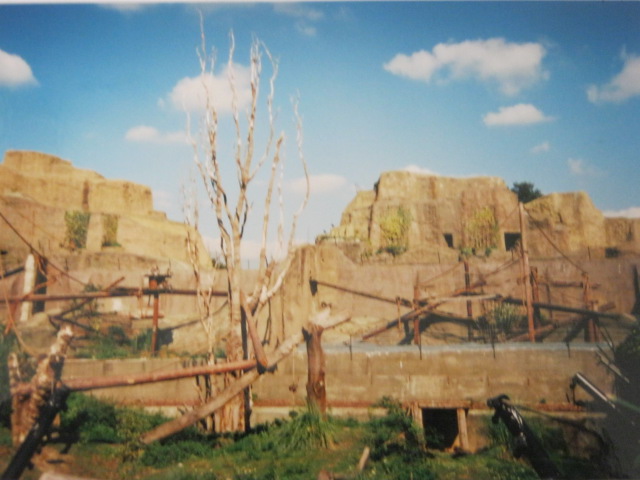 Mappins as Bear Mountain 1999.