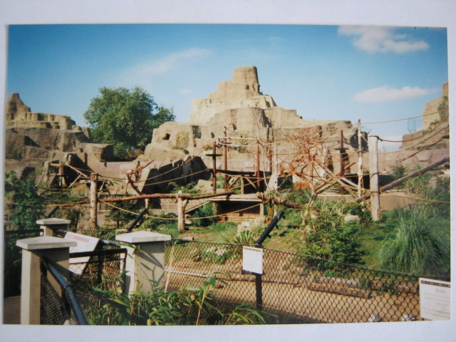 Mappins with Sri Lankan Sloth Bears etc..