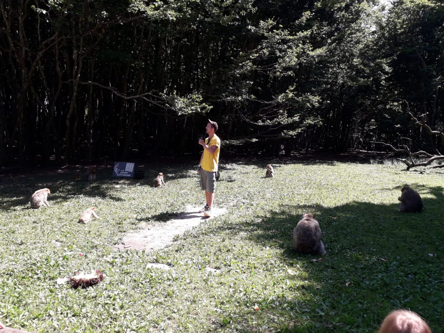 Maqaque commented feeding and Keeper information