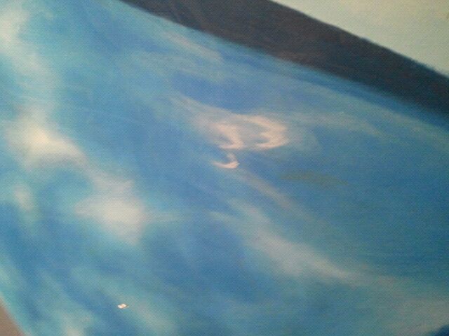 Mar. 2012-Hidden 33 on a Great White Shark Mural