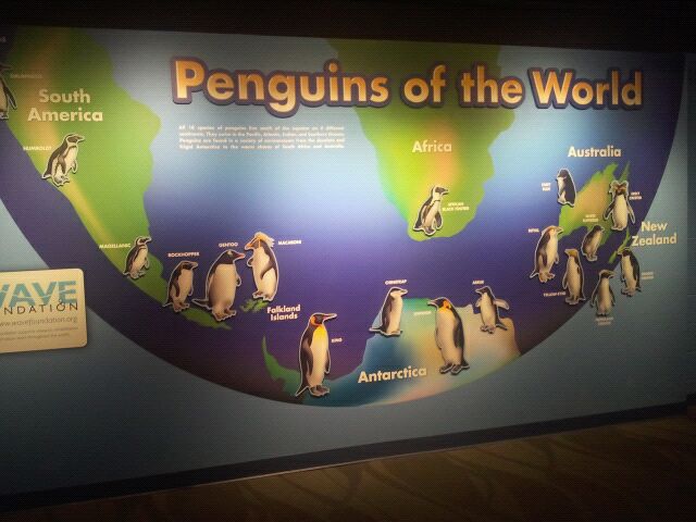 Mar. 2012-Penguin of the World