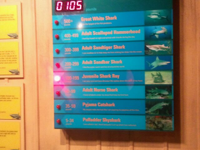 Mar. 2012-Shark Central