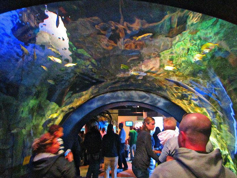 Mar. 2013-Caribbean Cove Tunnel