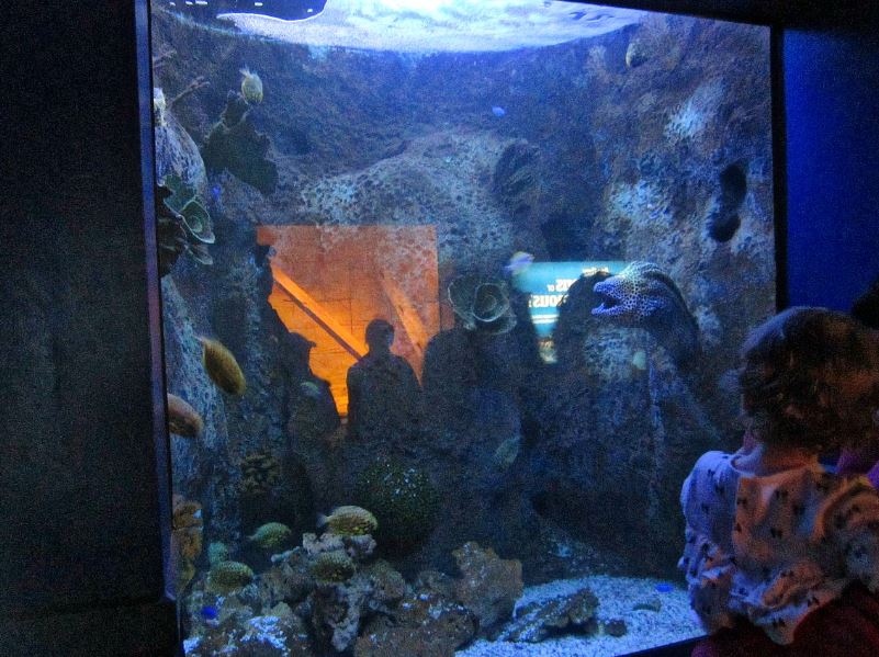 Mar. 2013-Dangerous and Deadly Exhibit