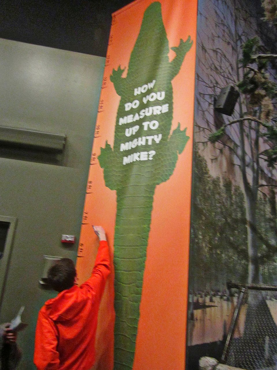Mar. 2013-Gator Alley - Do You Measure Up to Mighty Mike?