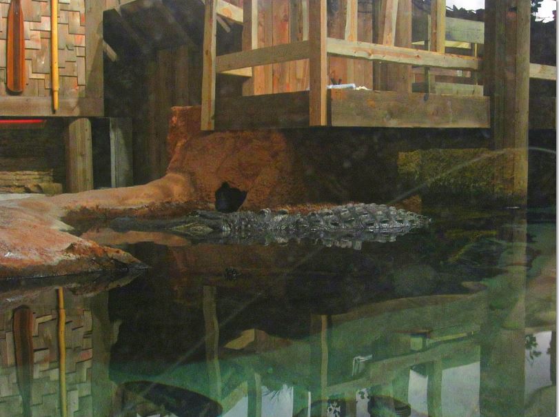 Mar. 2013-Gator Alley - Mighty Mike