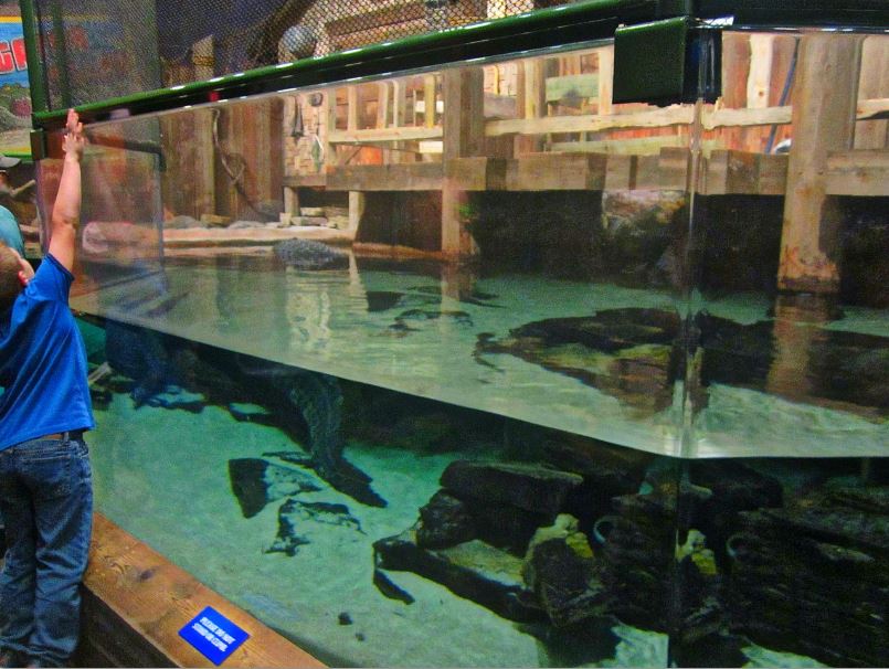 Mar. 2013-Gator Alley - Mighty Mike's Exhibit