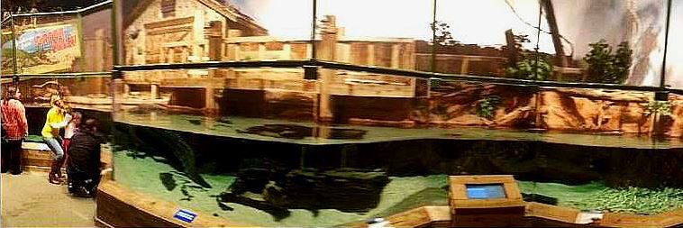 Mar. 2013-Gator Alley - Mighty Mike's Exhibit