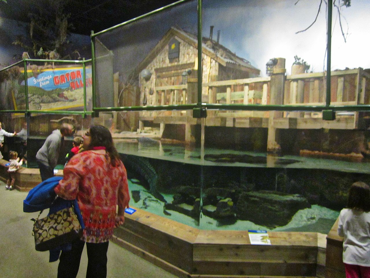 Mar. 2013-Gator Alley - Mighty Mike's Exhibit