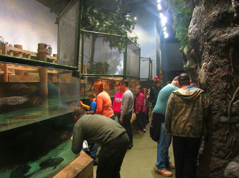 Mar. 2013-Gator Alley