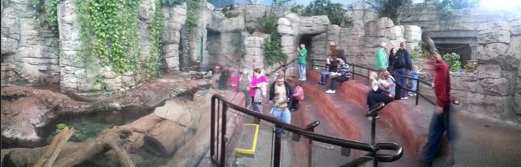 Mar. 2013-Hidden Treasures of the Rainforest Islands - Asian Small-clawed O