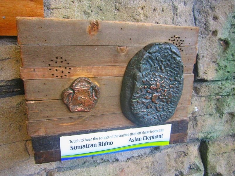 Mar. 2013-Hidden Treasures of the Rainforest Islands - Sumatra Rhino + Asia