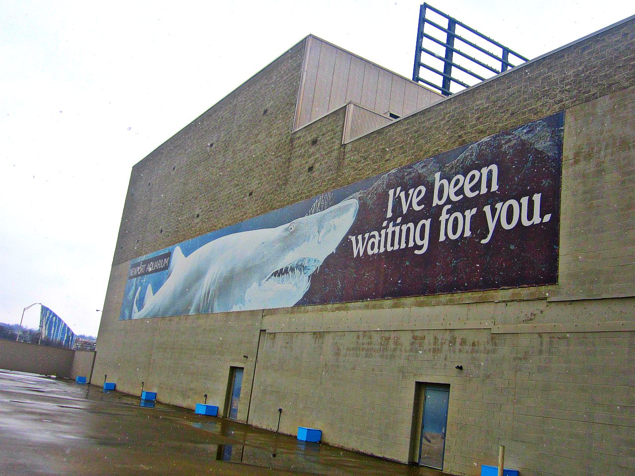 Mar. 2013-Newport Aquarium Welcome Sign