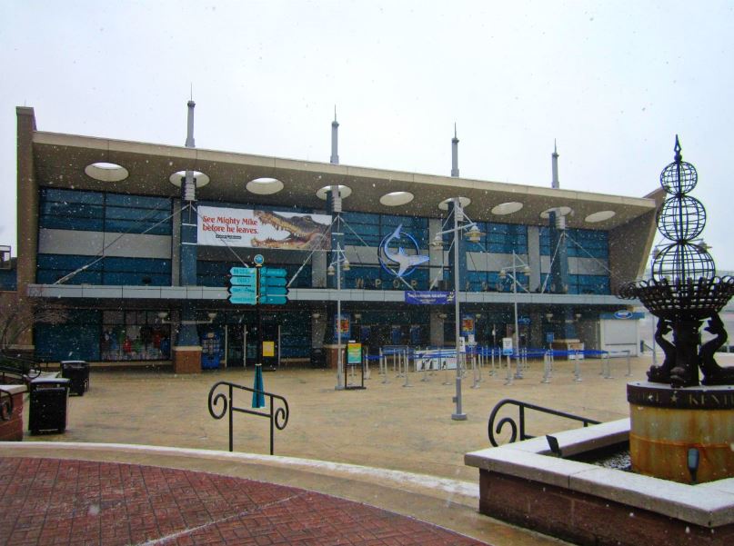 Mar. 2013-Newport Aquarium